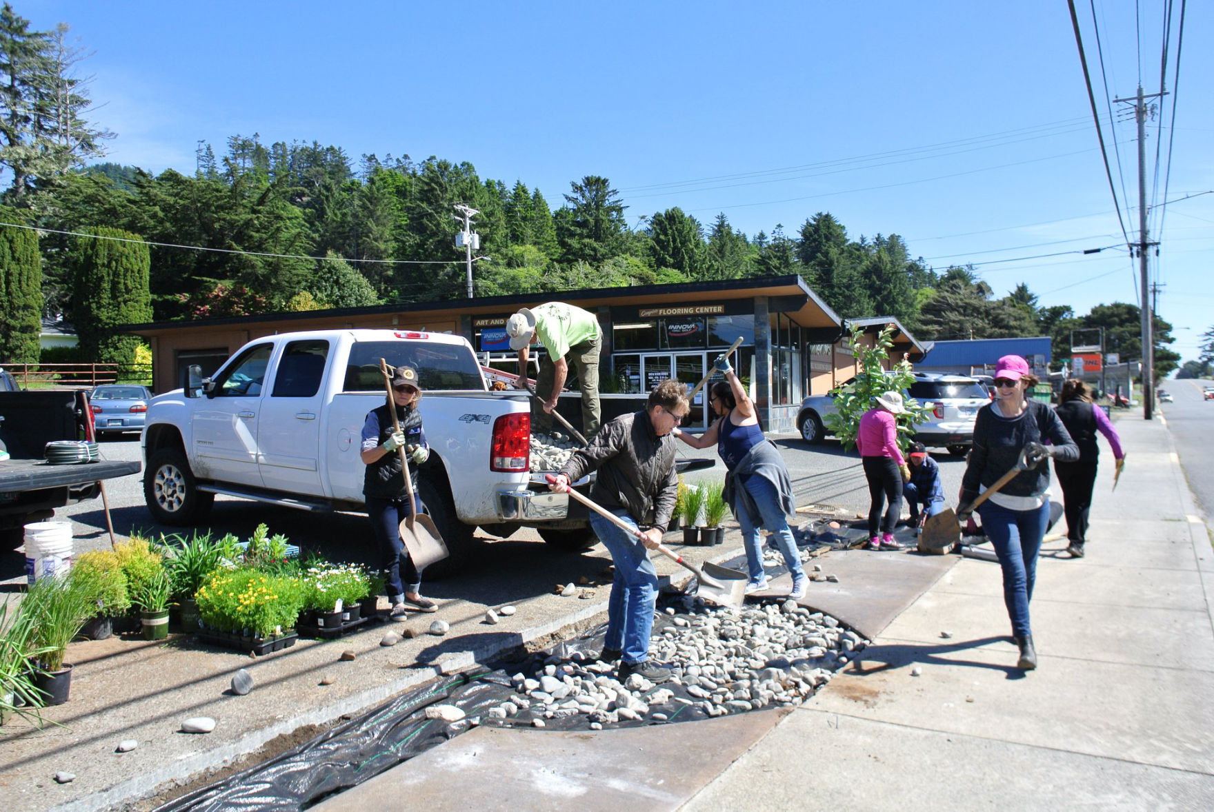 Volunteers Planting